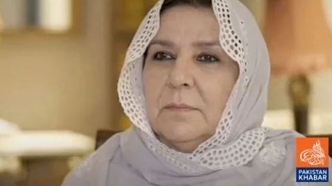 نورین نیازی کی طبیعت خراب، پی ٹی آئی کا اظہارِ تشویش