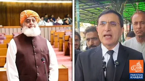 Some Words in Maulana Fazlur Rehman's Speech Were Inappropriate: Barrister Gohar
