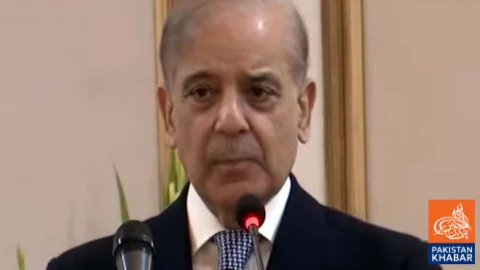 Timely Decision Prevented Further Losses in KP: PM Shehbaz