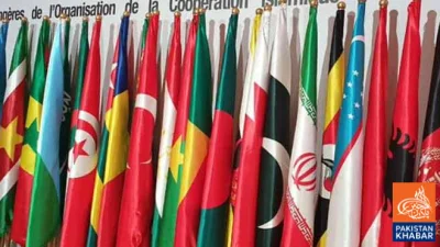 او آئی سی کا فلسطین پر اسرائیلی قبضے کے خاتمے اور دو ریاستی حل کیلئے فوری عالمی اقدامات کا مطالبہ